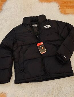 Schwarze Jacke - Bendorf (Rheinland-Pfalz)