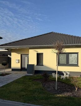 Nur noch wenige Grundstücke: Neubau-Bungalow im Baugebiet "Zur Tränke" in Top-Grünlage von Thalheim - Bitterfeld-Wolfen