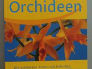 Jörn Pinske: Orchideen - Münster