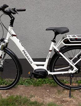 City - E-Bike Pegasus, Opero E8 RD Di2 - Köln