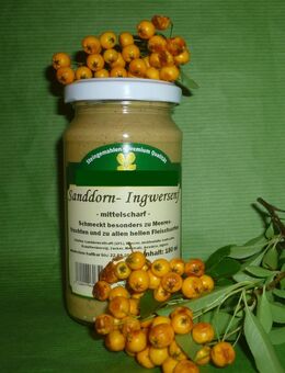 Sanddorn Senf 190ml fruchtig mittelscharf vegan - Görlitz Zentrum