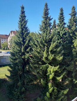 * Familienwohnung mit Reparaturbedarf :) * - Naumburg (Saale)