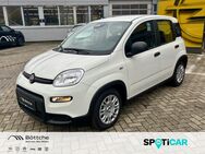 Fiat Panda, Pandina MJ24, Jahr 2022 - Dessau-Roßlau