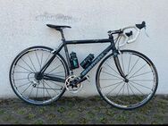 Bianchi Campagnolo RH52 Rennrad - Langweid (Lech)