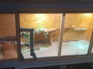 Terrarium xxl - Algermissen