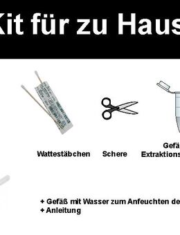 Treuetest - Mainz