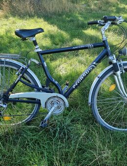 Pegasus Arcona 28-Zoll Aluminium HerrenFahrrad für nur 65€ - Wassenberg