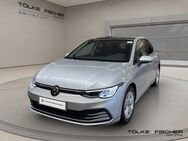 VW Golf, 1.5 TSI VIII Life Massage, Jahr 2024 - Krefeld