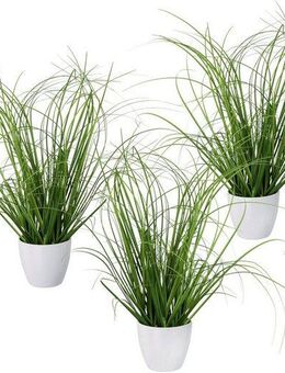 Kunstgras Grasbusch, Creativ green, Höhe 40 cm, 3er Set, im dekorativen Kunststofftopf