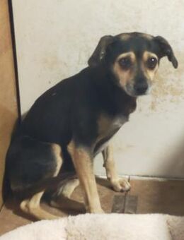 Mara gerettet Alb - Ludwigshafen (Rhein)