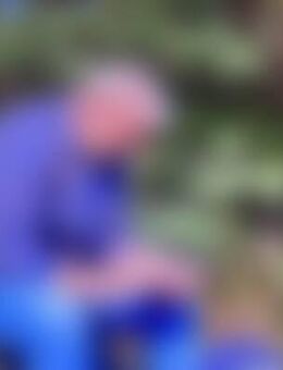 Pet*** - Verden (Aller)