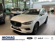 Volvo XC60, Inscription T8 AWD H&K, Jahr 2020 - Recklinghausen