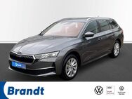 Skoda Octavia, 2.0 TDI Combi, Jahr 2024 - Achim