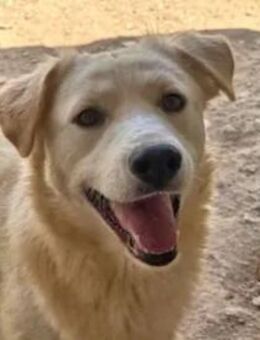 ANGEL - eine arme ausgesetzte Seele - Regensburg