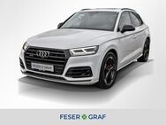 Audi SQ5, 3.0 TDI qu, Jahr 2019 - Forchheim (Bayern)