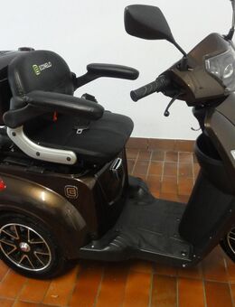 Econolo Billy mit 18 Monate Restgarantie - Neuwied
