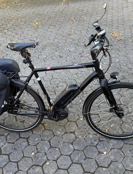 Bergamont ebike Trekkingbike - Bayreuth