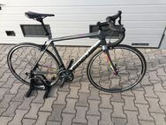 Rennrad Focus Izalco Race, Carbon Bitte Artikeltext beachten - Rödermark Zentrum