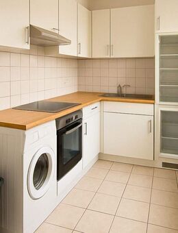 Möblierte 1,5-Zimmer-Wohnung in Ummendorf - Ideal für Pendler - Ummendorf (Baden-Württemberg)