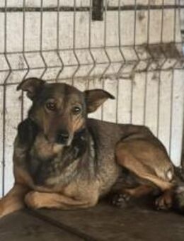 Unsichere Joya sucht sicheren Hafen - München