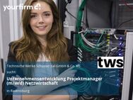 Unternehmensentwicklung Projektmanager (m/w/d) Netzwirtschaft - Ravensburg