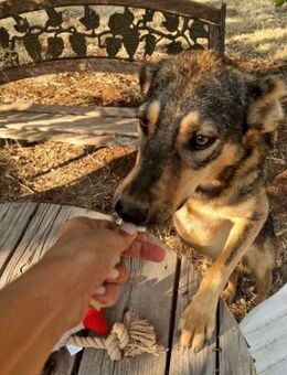 Summer hat sich zur Schönheit gemausert - Mettmann