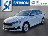 Skoda Scala, 1.0 TSI Ambition, Jahr 2023 - Münster