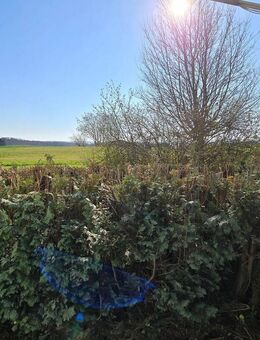 Top neu renovierte 2-Raum-Whng, EG, barrierefrei, 2 Terrassen, Garten (ca.65 qm) - Frankenberg (Sachsen)