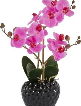 Kunstpflanze Orchidee Orchidee, Leonique, Höhe 38 cm, Kunstorchidee, im Topf, Bestseller, über 2500 4,5-Sterne-Bewertungen