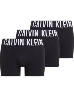 Calvin Klein Underwear Trunk TRUNK 3PK (Packung, 3-St., 3er) mit Logo-Elastikbund