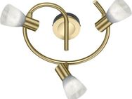 TRIO Leuchten LED Deckenstrahler LEVISTO, LED wechselbar, LED Deckenleuchte, LED Deckenlampe