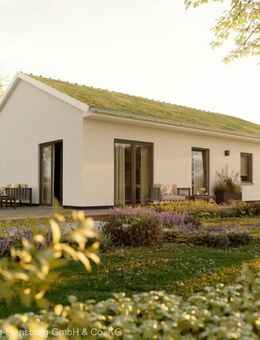 Komfort pur: Ihr neues Leben auf einer Ebene im stilvollen Bungalow - Holzbunge
