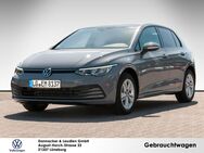 VW Golf, 1.0 TSI VIII Life, Jahr 2021 - Lüneburg