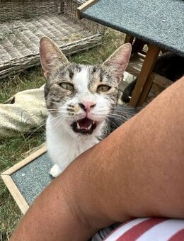 die Suche nach meinem Lieblingsmensch - Idstein