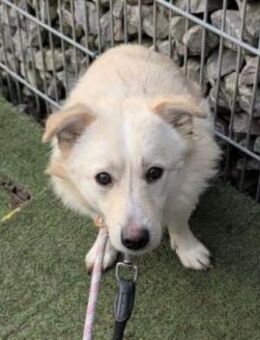 Filu, der kleine Eisbär 🐾 - Elsdorf (Nordrhein-Westfalen)