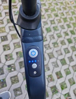 Kalkhoff Berleen 5g Move E Bike neuwertig - Hinte