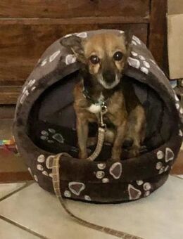 die kleine Sonja sucht Geborgenheit - Untergriesbach