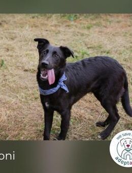 Keoni: Ein kleiner Held mit großem Herz - Kirchzell