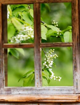 GROßZÜGIGES MFH MIT SCHÖNEM GARTEN - Bad Griesbach (Rottal)