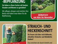 Gärtner I Heckenschnitt I Gartenpflege I - Köln