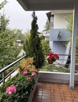 Gemütliche Hochparterre-Wohnung in ruhiger Stadtlage mit Balkon und Sicht bis in die Schweiz - Waldshut-Tiengen