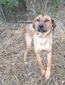 Eva - vorvermittelt - - Weilmünster