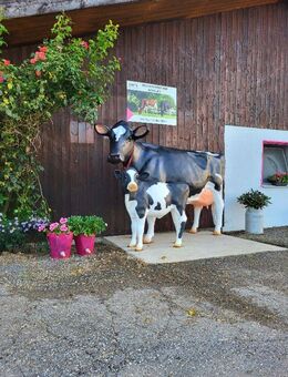 Holstein Friesian Kuh lebensgroß der neuen Generation erleben bei Deko mit Pfiff International ... - Heidesee