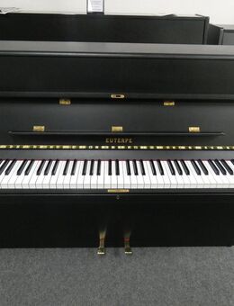 Euterpe Klavier von Klavierbaumeisterin aus Aachen - Aachen
