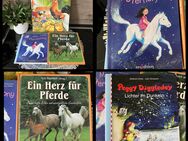 Kinderbücher | Paket | Bücherpaket | Pferde | Sternenpony | GUT - Dresden