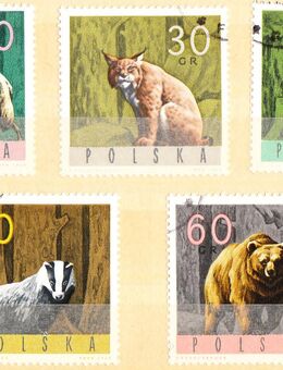 Polnische Briefmarken Wildtiere (437) - Hamburg