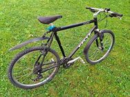 MTB Raccer Herren Fahrrad 26Zoll 27Gang - Volketswil