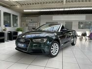 Audi A3 1.4 TFSI ultra Cabrio Leder Navi Xenon - Braunschweig