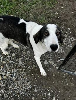 Hanni Mäuschen 💕 - Sindelfingen