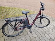 Neuwertiges E-Citybike Raleigh CORBY 8 RT - Essen